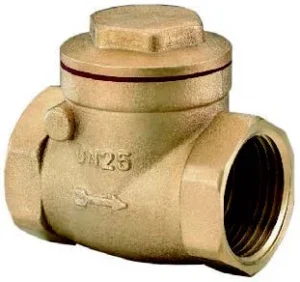 Válvula de retención de clapeta