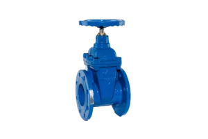 valme válvula compuerta