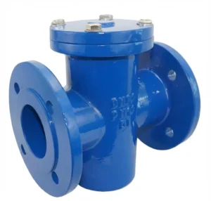 WhatsApp Image 2026-02-03 at 17.11.20